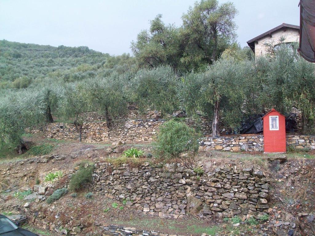 Piccolo Rifugio Nel Verde Chiusavecchia Rom bilde